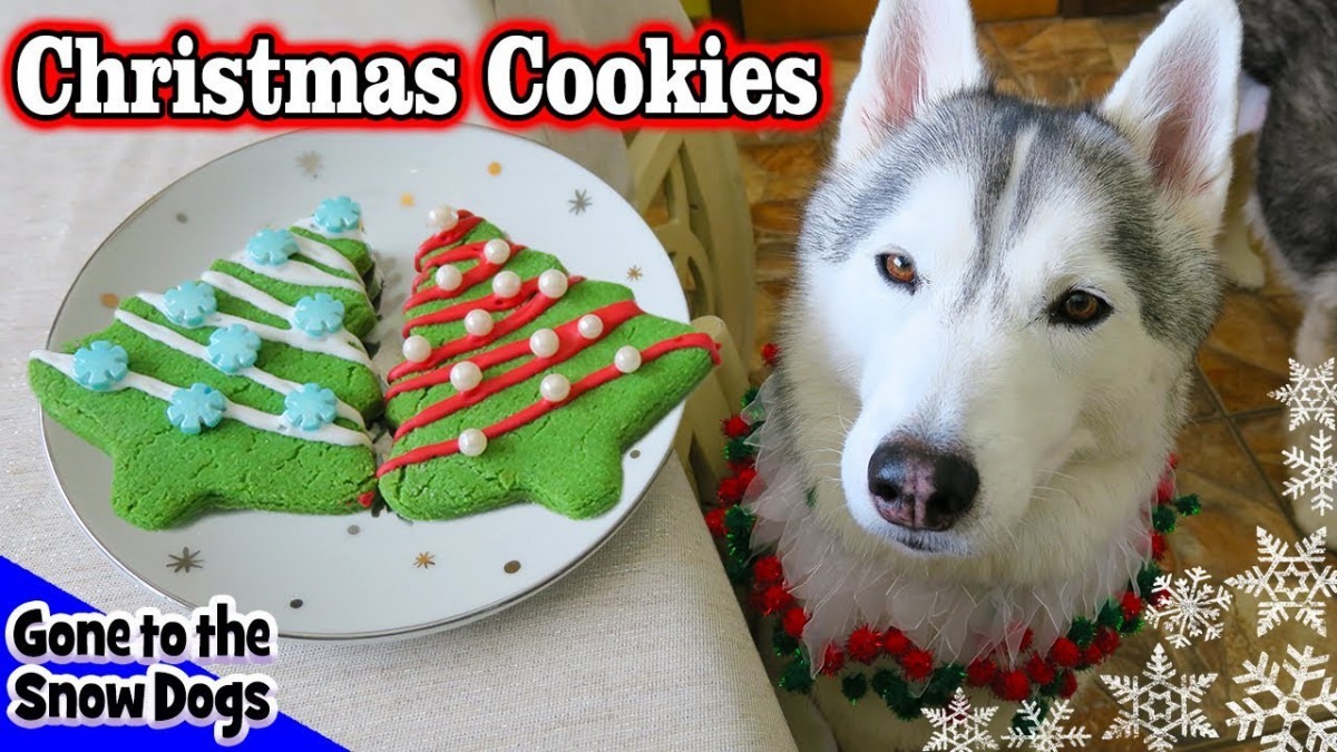 Christmas Cookies For Dogs