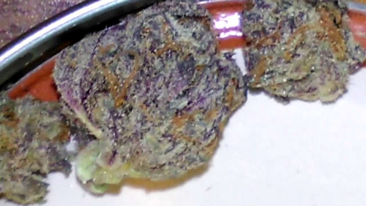 Blog  56 Show And Tell Strain Review Purple Cookies