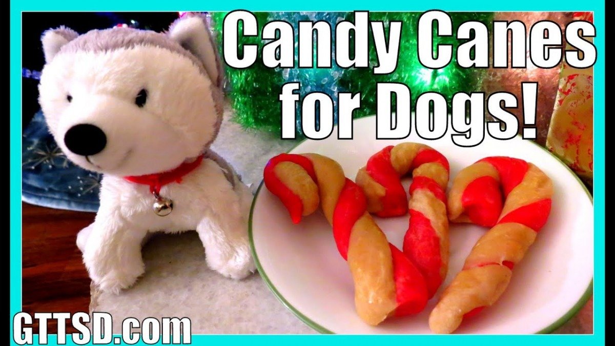 Candy Cane Cookies For Dogs