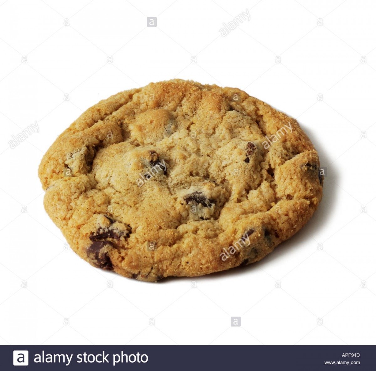 Single Chocolate Chip Cookie Stock Photos & Single Chocolate Chip