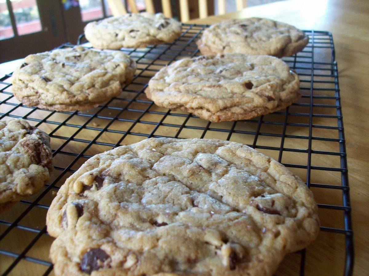 Delicious Discoveries  Best, Big, Fat, Chewy, Chocolate Chip Cookie