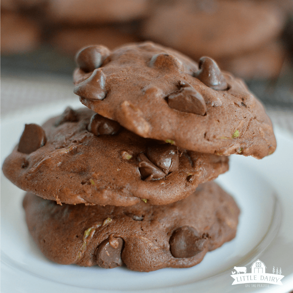 Chocolate Zucchini Cookies