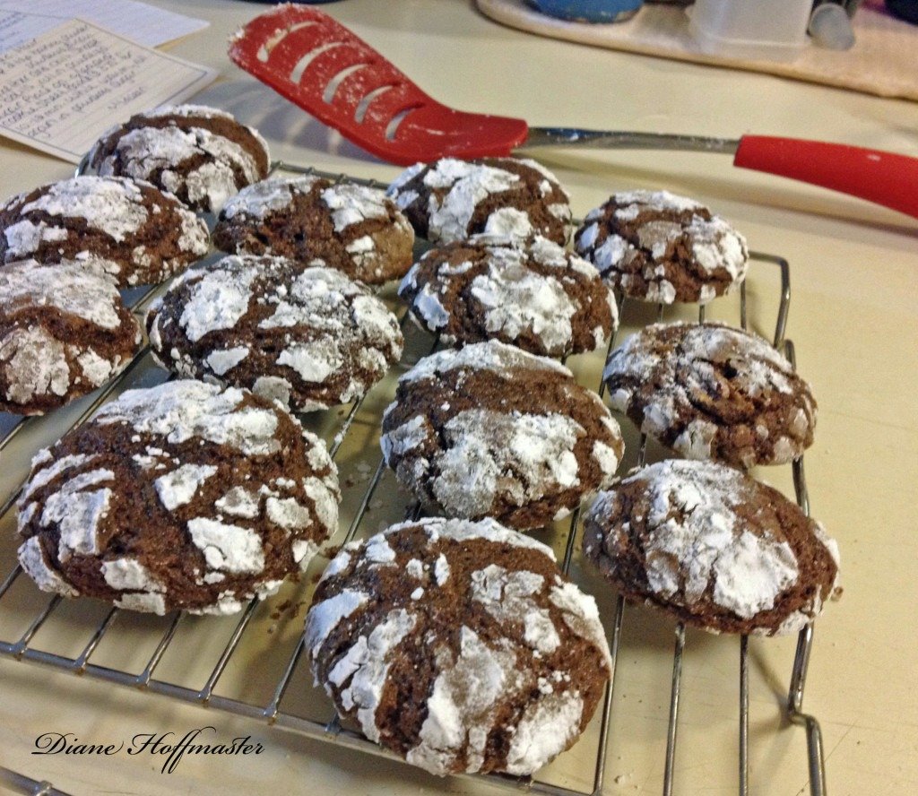 Easy Chocolate Crinkles Christmas Cookie Recipe