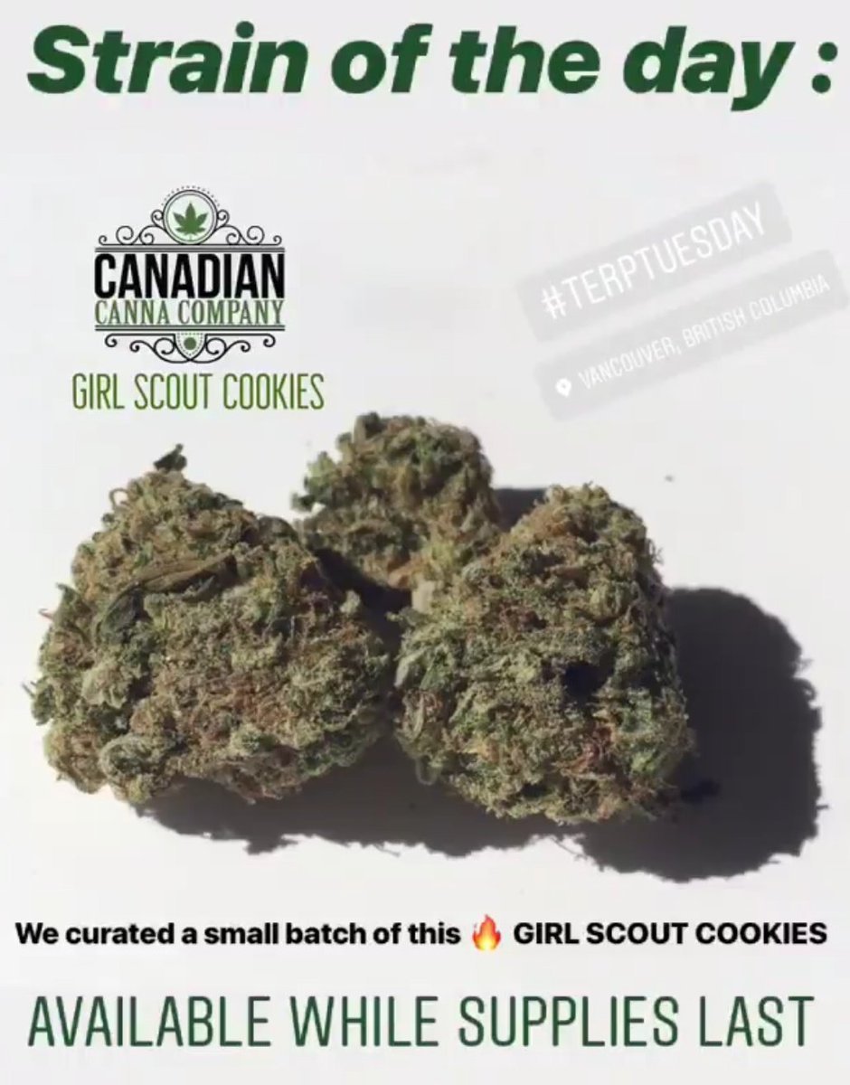 Canadian Canna Company ð¨ð¦ Mail Order Marijuana On Twitter   New
