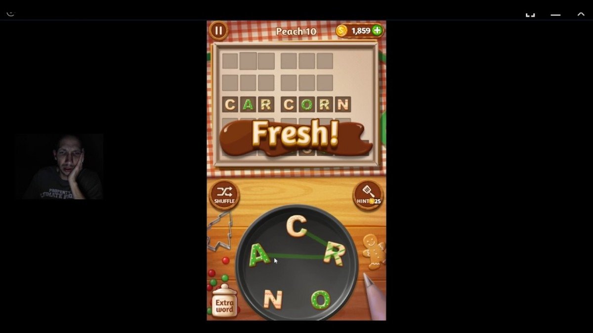 Word Cookies, Talented Chef, Peach Updated Level 10 Solved