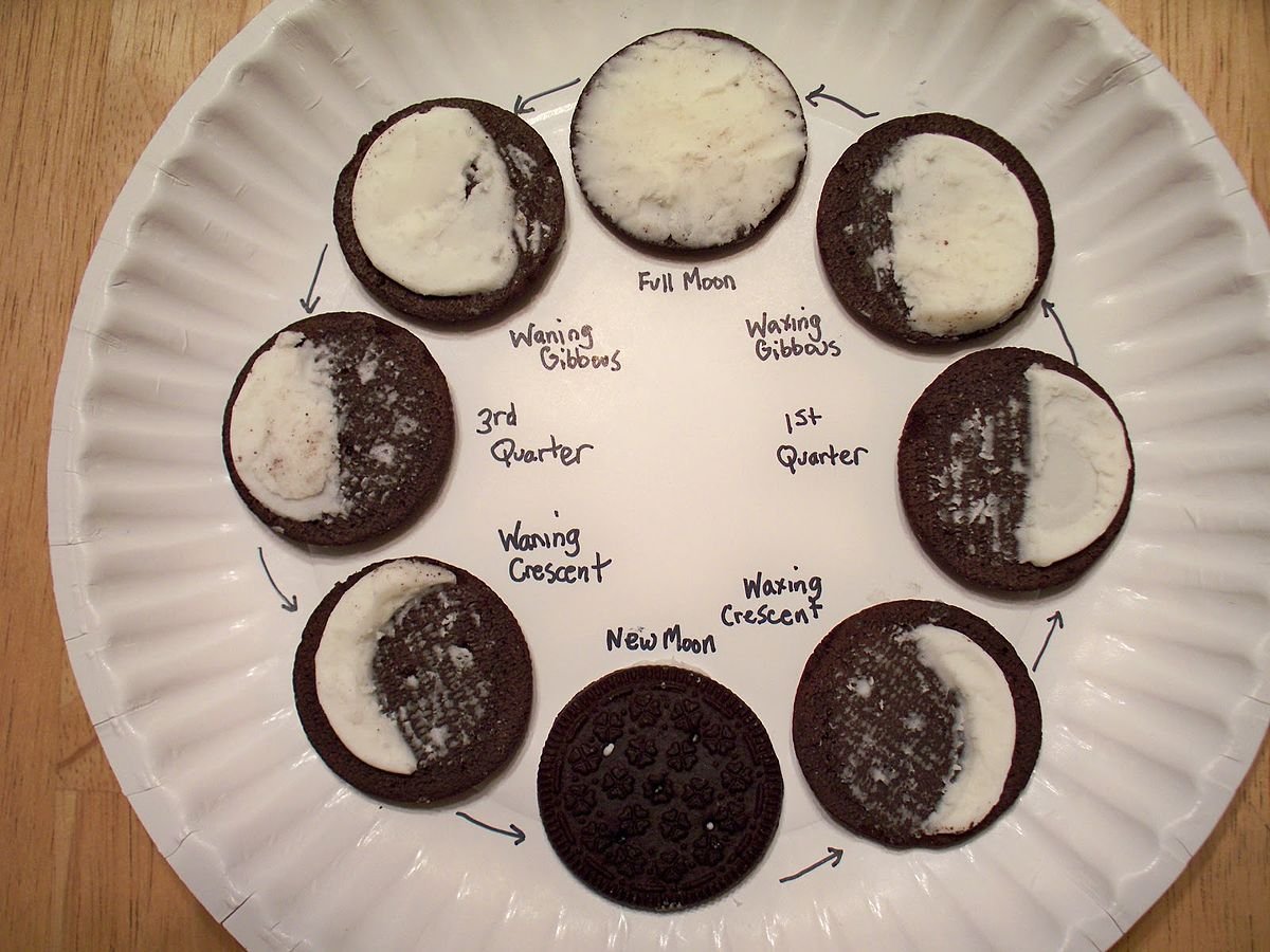 Cookie Moon Phases Activity