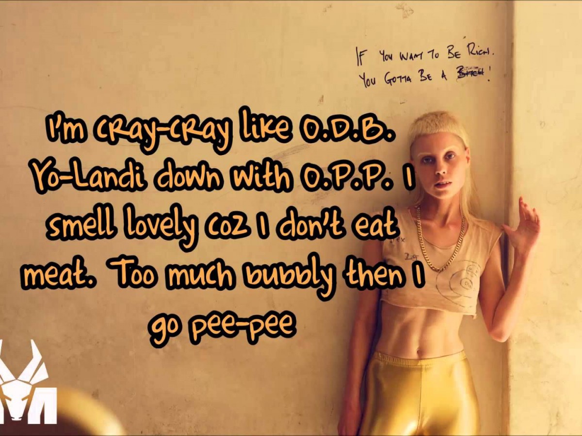 Die Antwoord