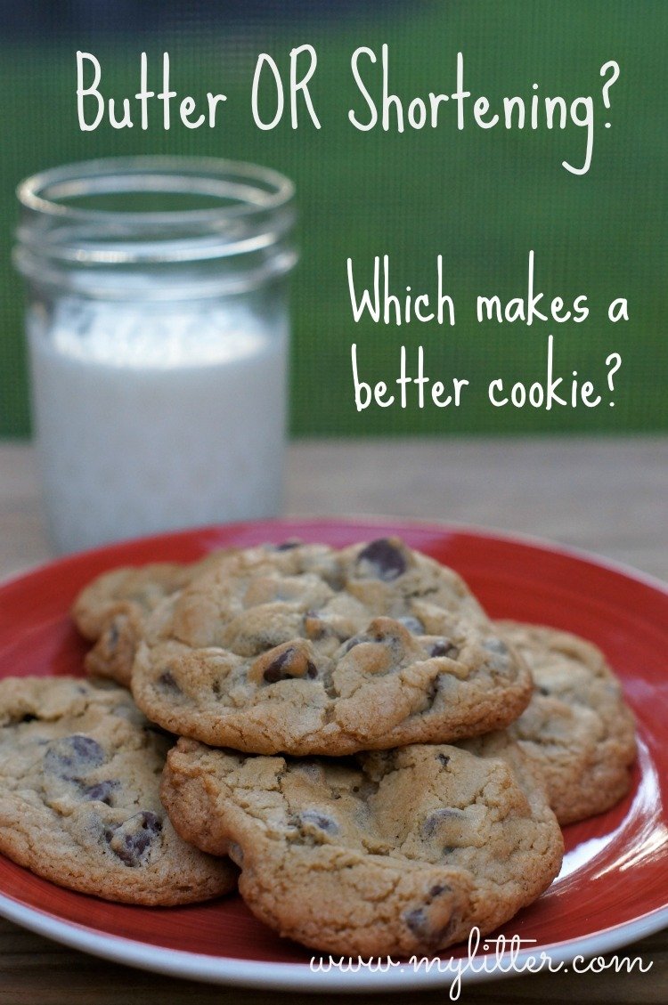 What Makes A Better Cookie  Butter Or Shortening