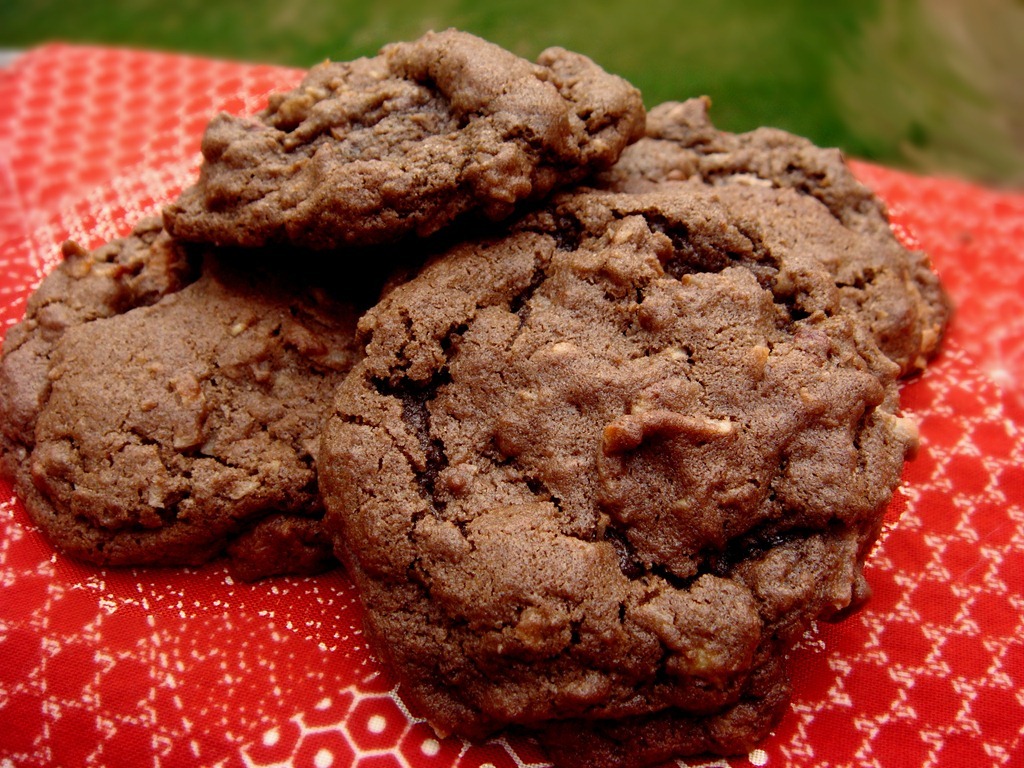 Twelve Days Of Christmas Cookies  German Chocolate Cake Cookies