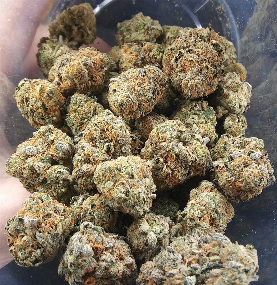 Buy Girl Scout Cookies Weed Online