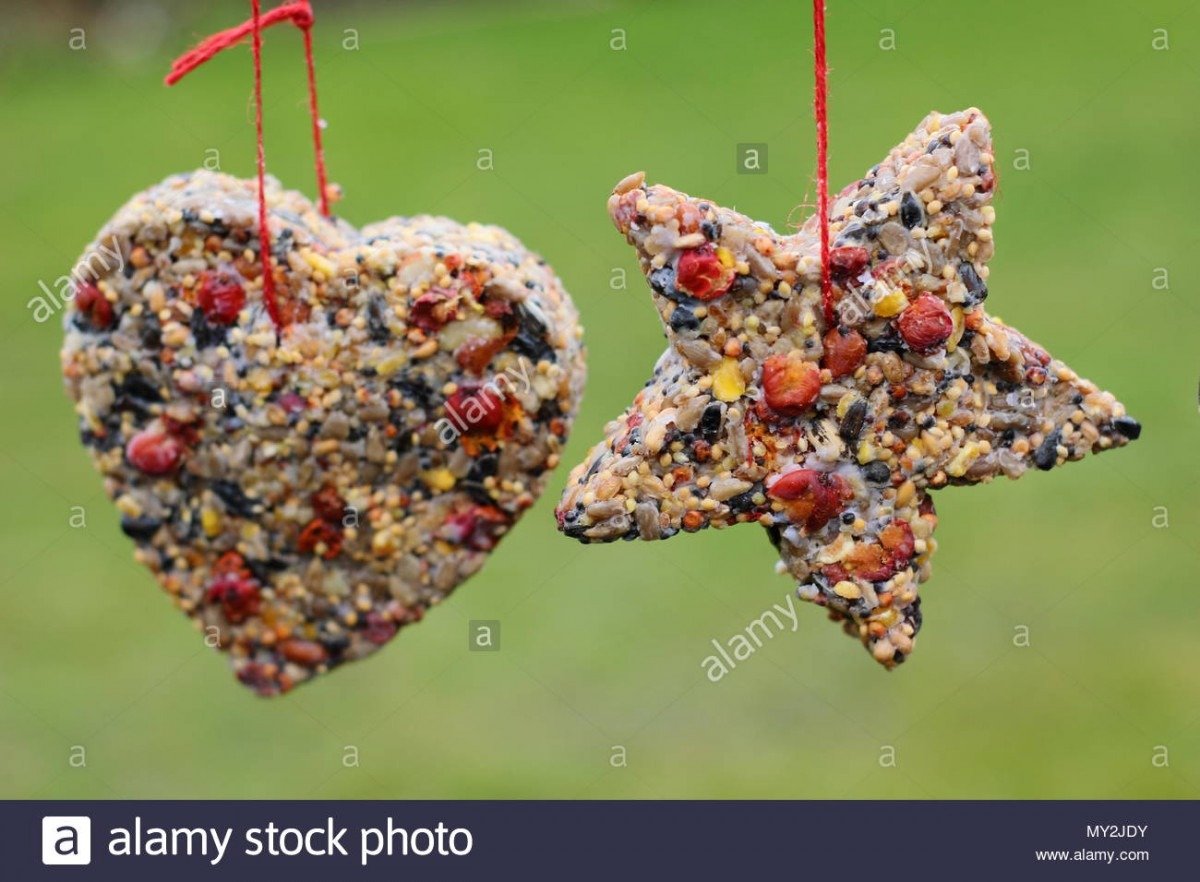 Home Made Cookie Cutter Bird Feeders Made With Seed, Fat And