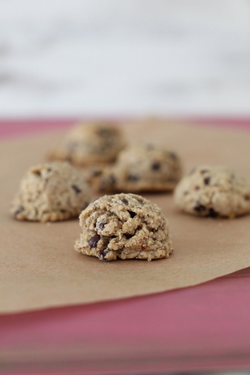 Doughvelopment  Heart Healthy Chocolate Chip Cookies