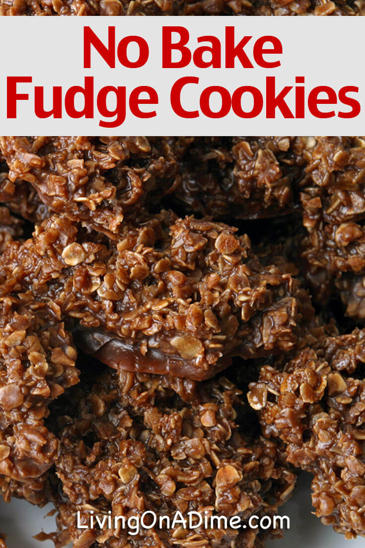 No Bake Fudge Cookies Recipe