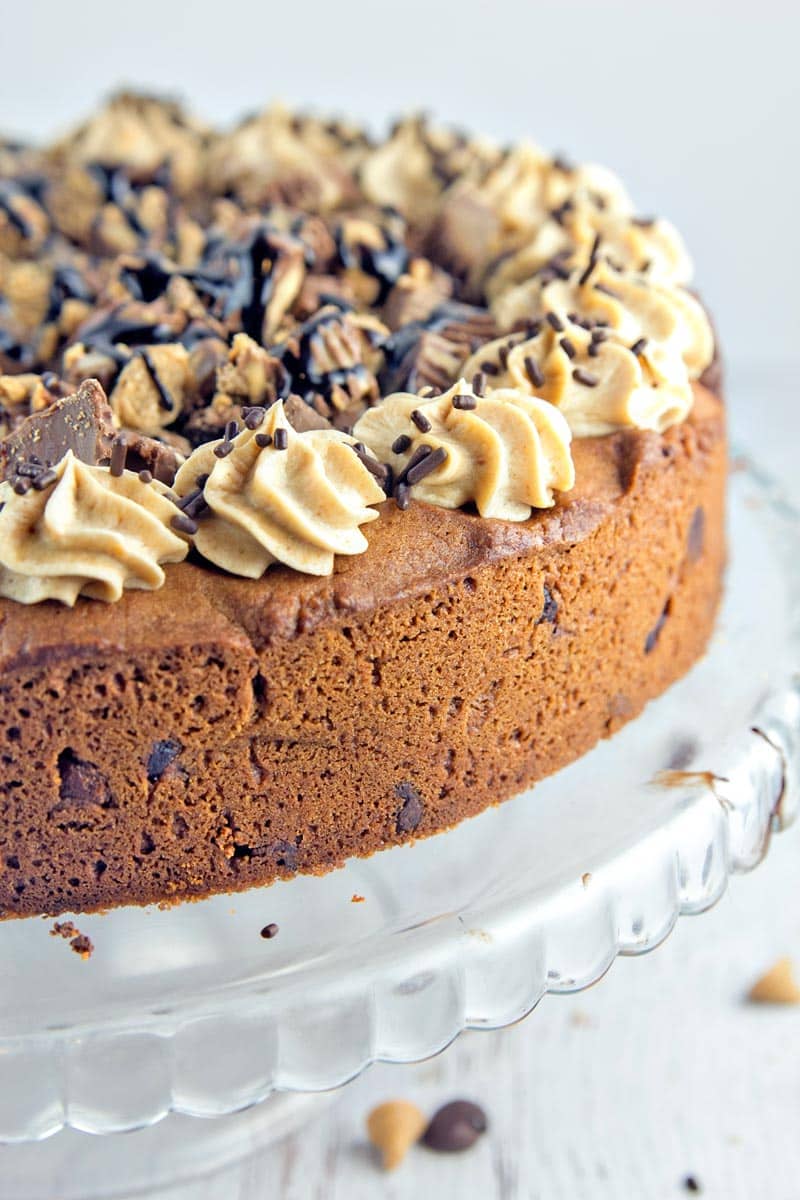 Peanut Butter Cup Cookie Cake