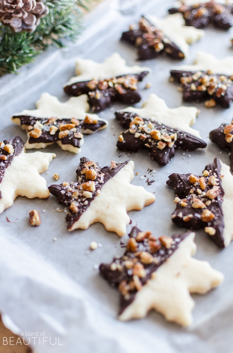 Pecan Chocolate Dipped Shortbread Cookies