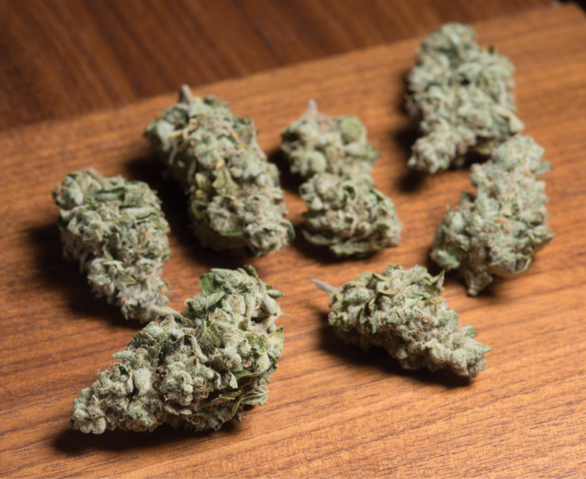 Strains Of The Month  Sin Mint Cookies & Og Kush Breath