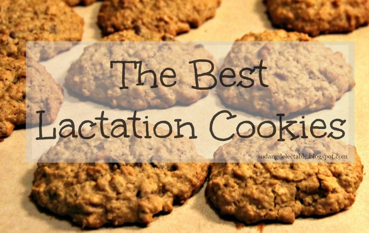 So Dang Delectable  The Best Lactation Cookie Recipe