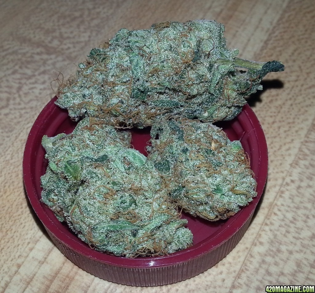 What Is Your Favorite Crop King Seeds Strain