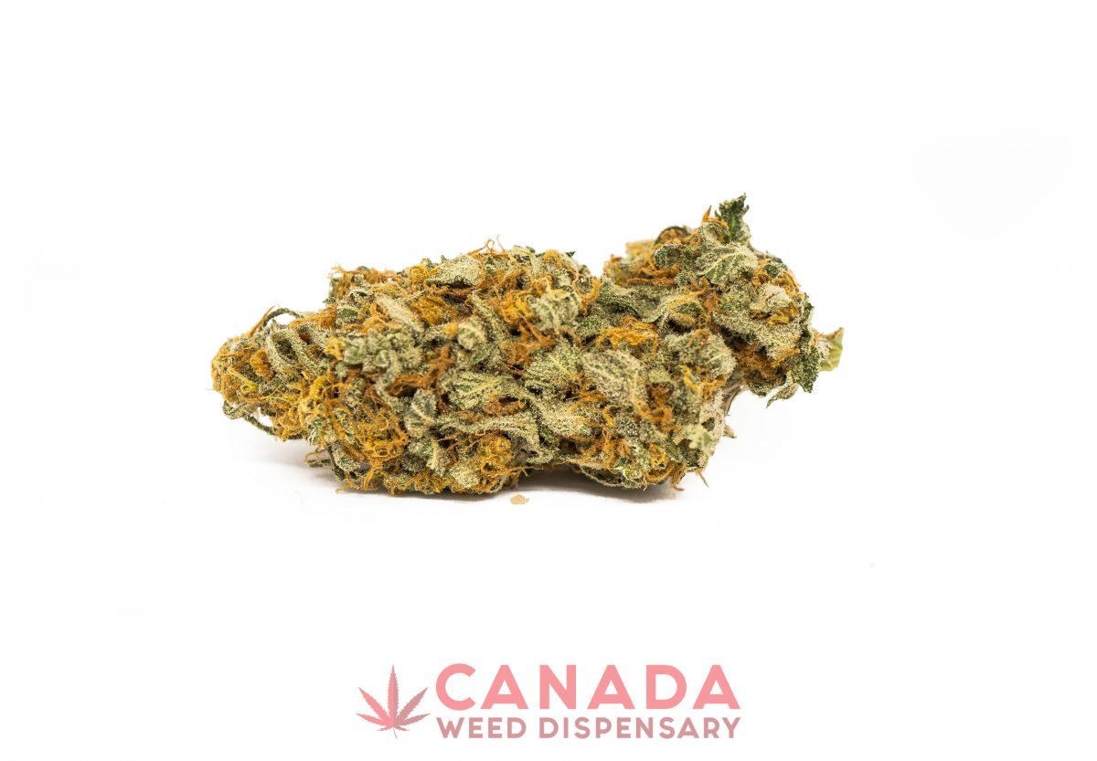 White Cookies (aaaa)