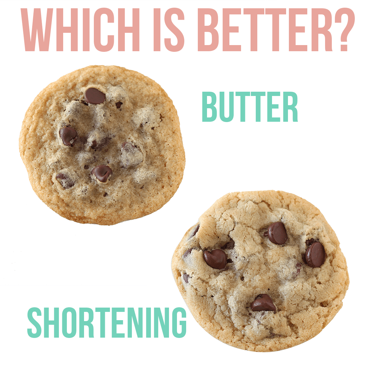 Butter Vs Shortening  Which Is Better