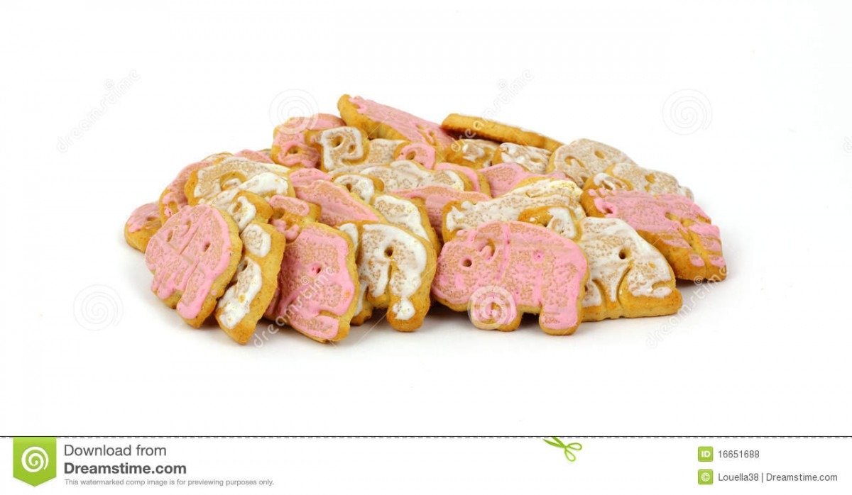 Group Iced Animal Cookies Stock Photo  Image Of Group