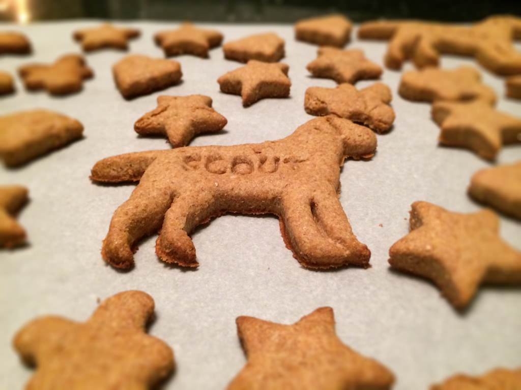 Homemade Dog Treats Recipe