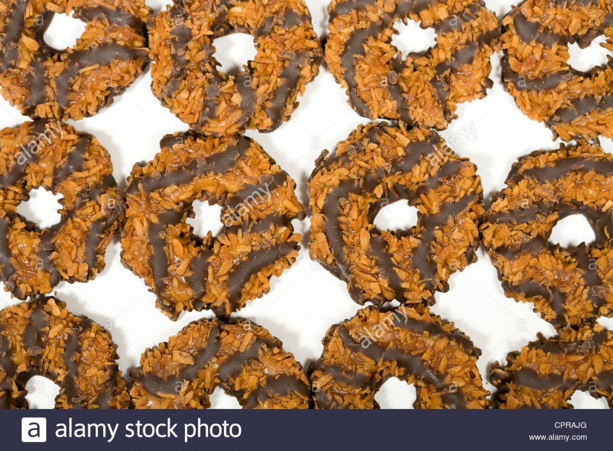Samoas Girl Scout Cookies Stock Photo  48456424