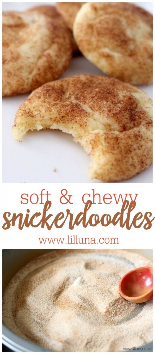 Best Snickerdoodle Cookie Recipe (+video)