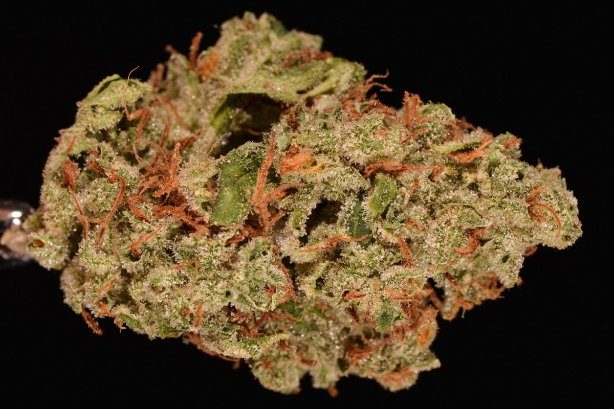 Best Tasting Weed  10 Mouth