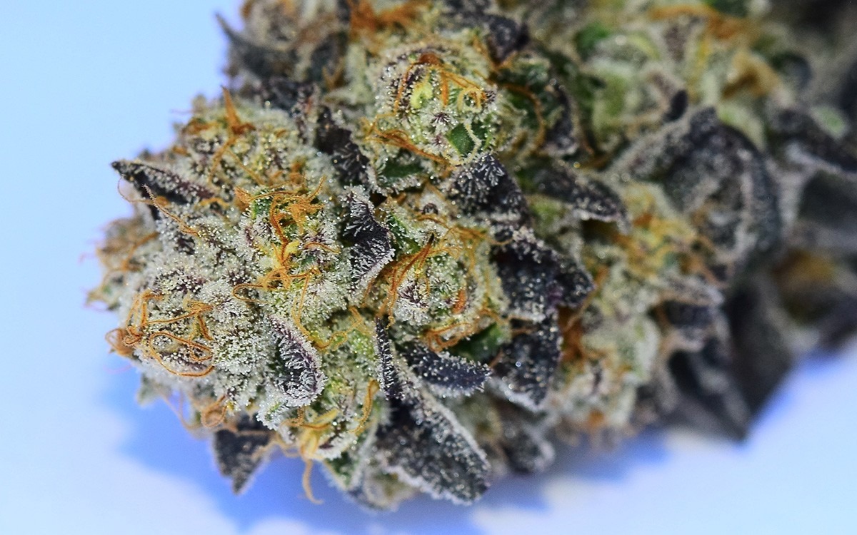 Trichome Tuesday  Platinum Huckleberry Cookies â Dope Magazine