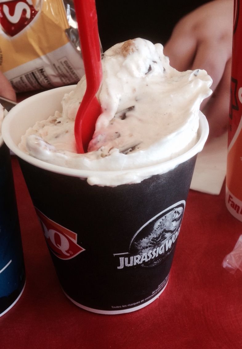Jurassic Smash Blizzard! The Peanut Butter Cookie Smashed With
