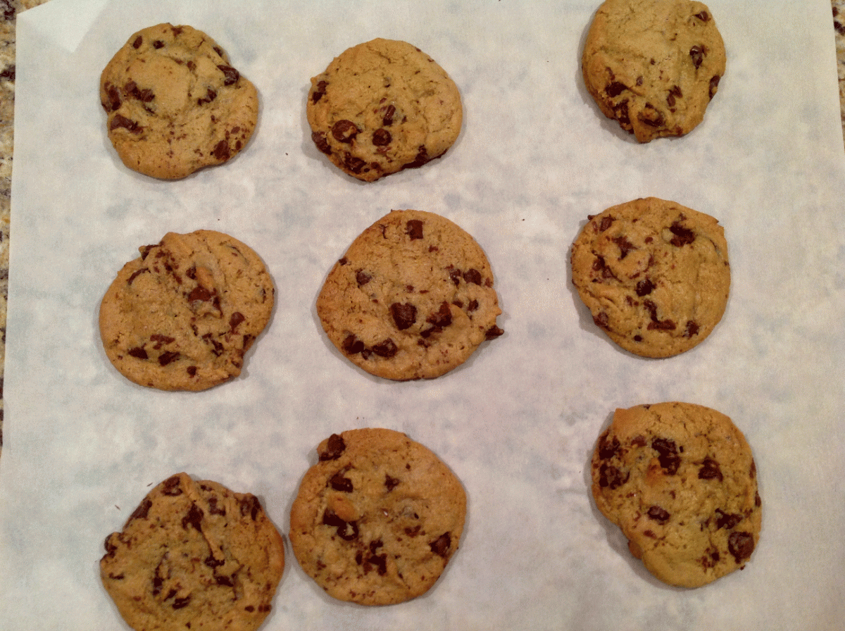 Guittard Chocolate Chips Wafers Chunks Batons