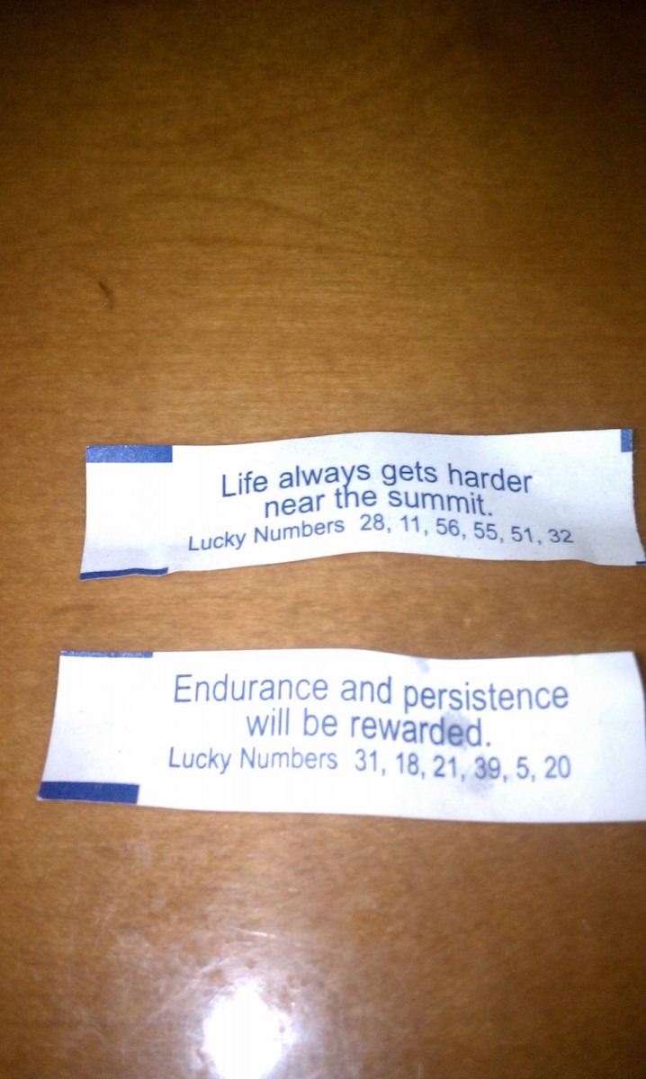 To Make Love Stay  The Best  In Bed  Fortune Cookies Ever